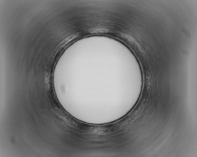 X0000113031217200909241406