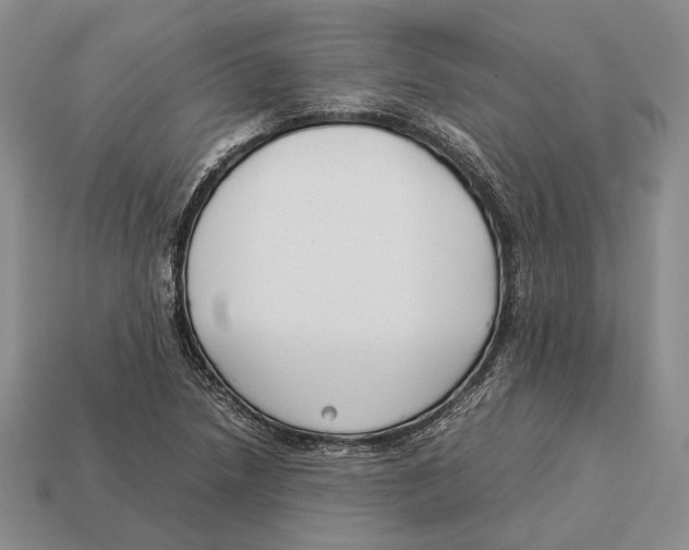 X0000113031218200909241406