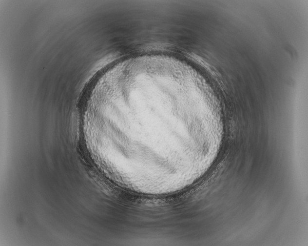 X0000113031219200909241406