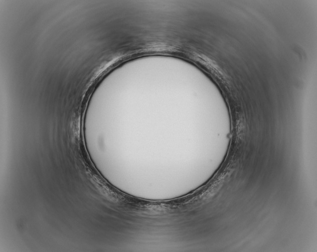 X0000113031220200909241406