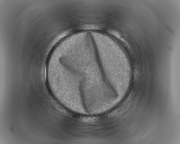 X0000113031221200909241406