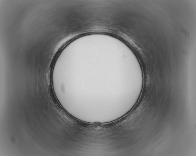 X0000113031222200909241406