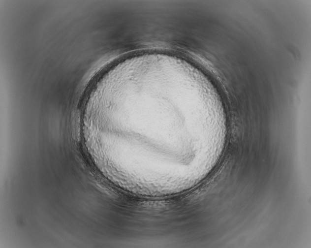 X0000113031223200909241406