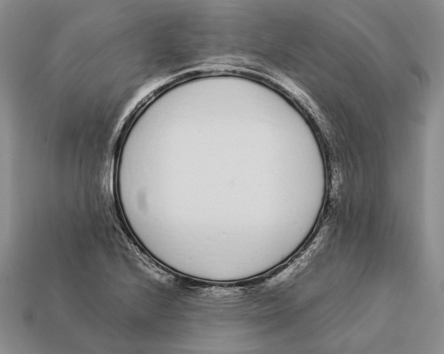 X0000113031224200909241406