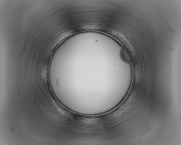 X0000113031225200909241406