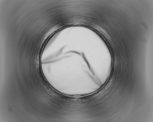 X0000113031226200909241407