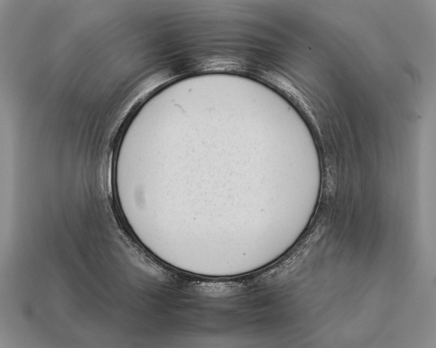 X0000113031227200909241407