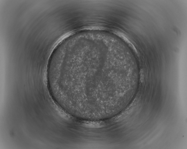 X0000113031229200909241407