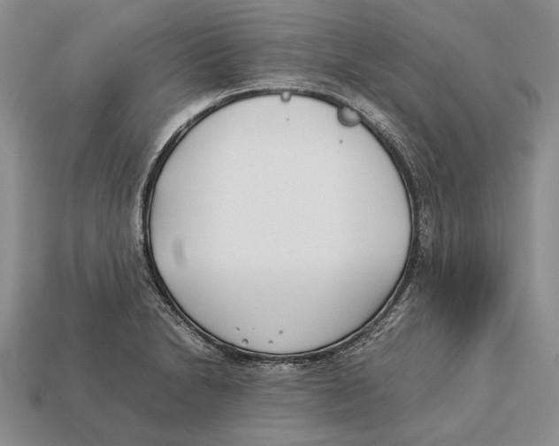 X0000113031230200909241407