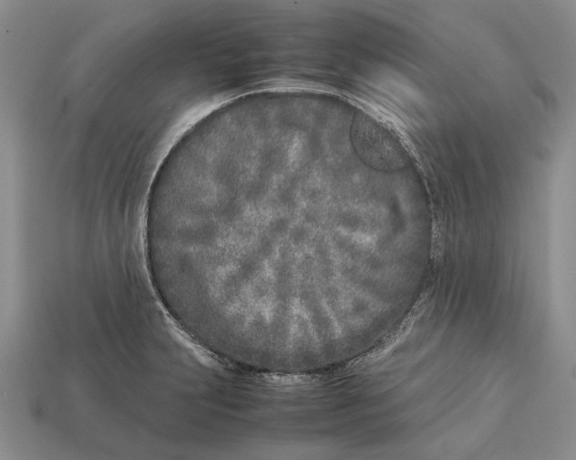 X0000113031231200909241407