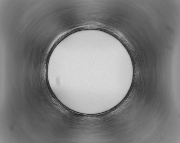 X0000113031232200909241407