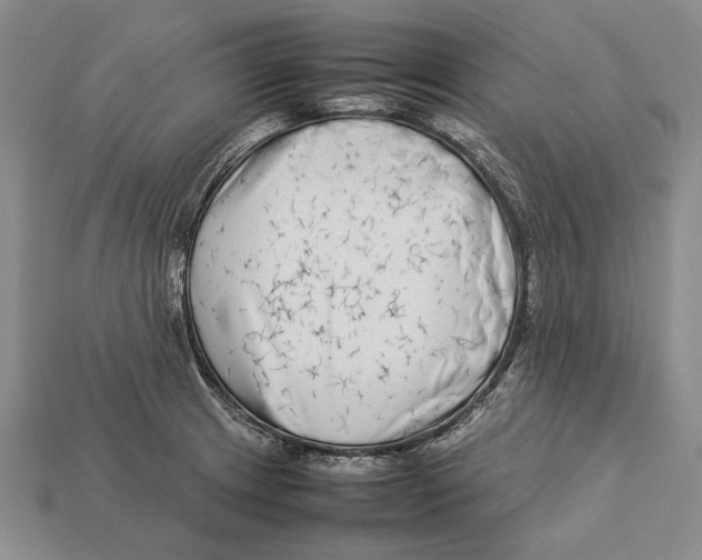 X0000113031233200909241407