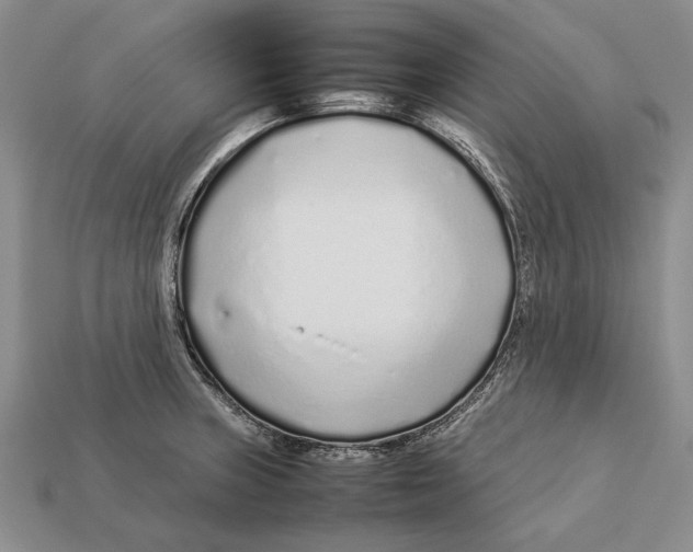 X0000113031235200909241407