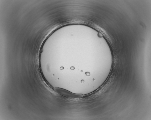 X0000113031236200909241407