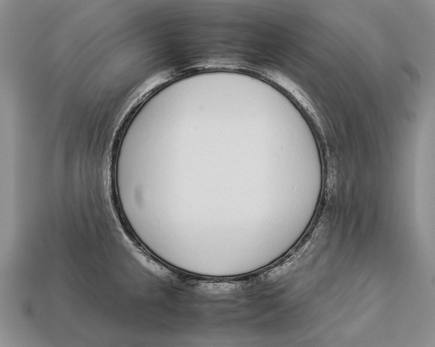 X0000113031237200909241407