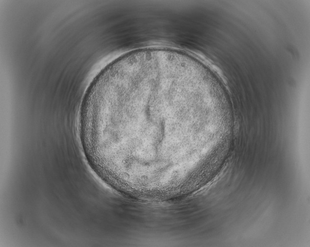 X0000113031239200909241407