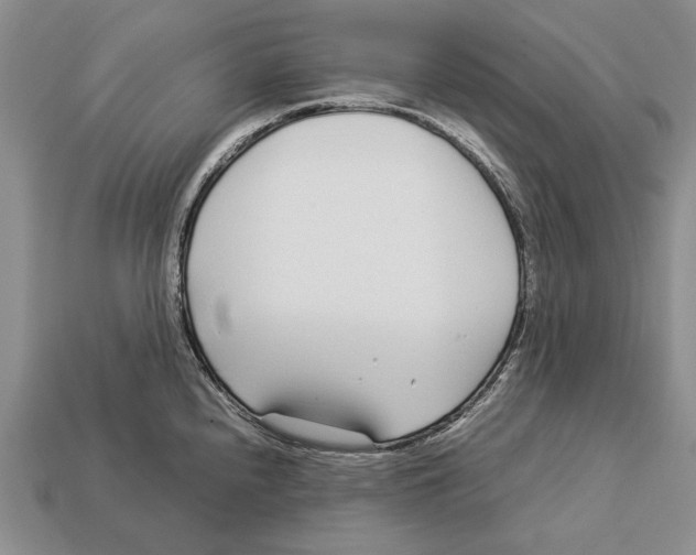 X0000113031240200909241407