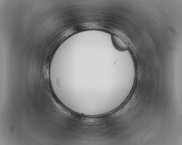 X0000113031241200909241407