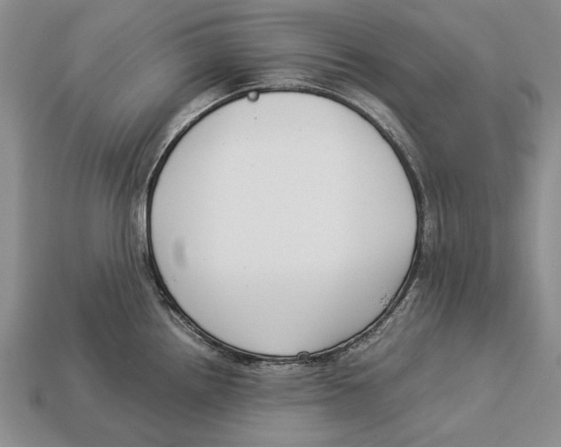 X0000113031242200909241407