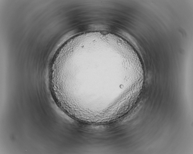 X0000113031243200909241407