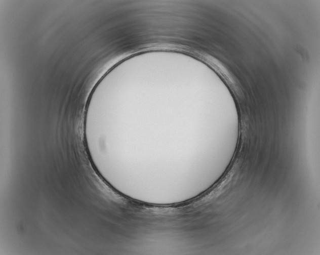 X0000113031244200909241407