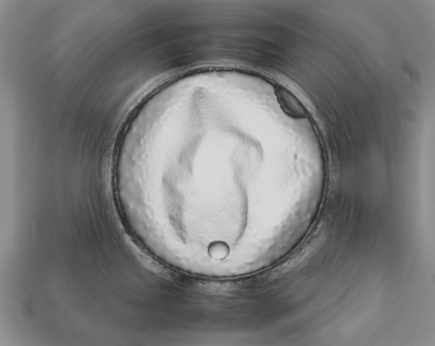 X0000113031245200909241407