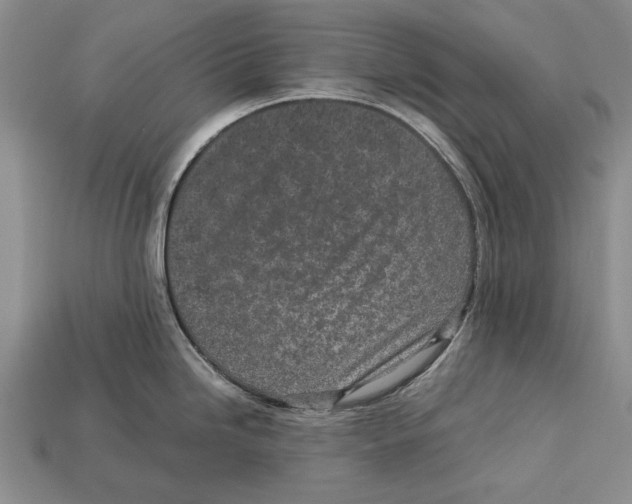 X0000113031246200909241407