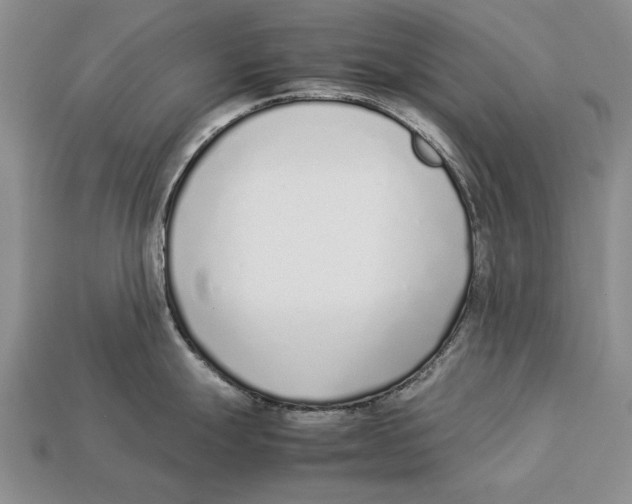 X0000113031247200909241407