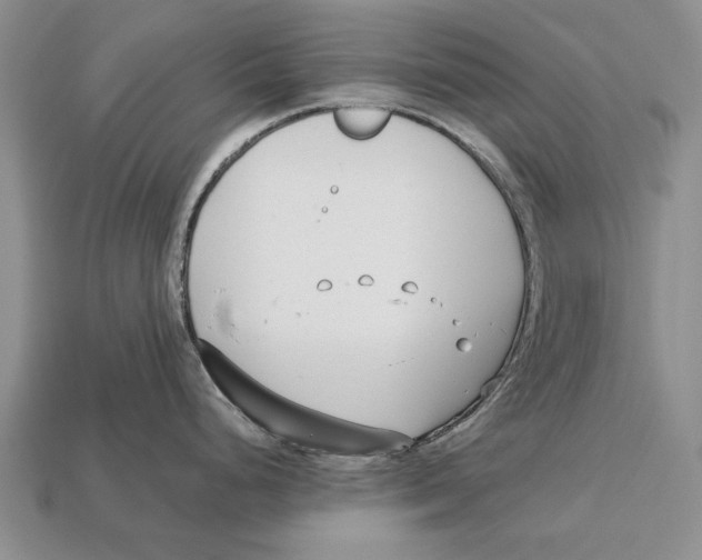 X0000113031248200909241407