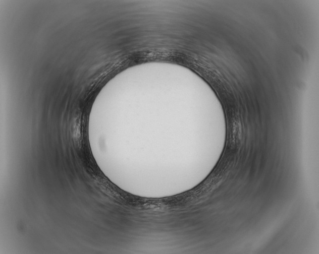 X0000113031250200909241406