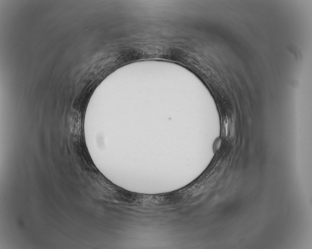 X0000113031251200909241406