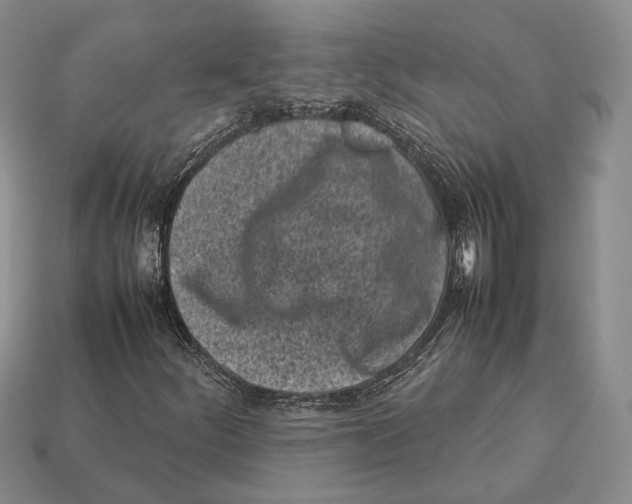 X0000113031252200909241406