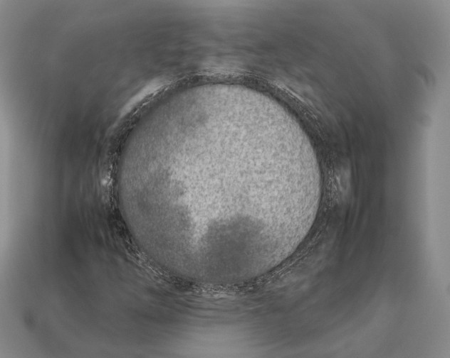 X0000113031254200909241406