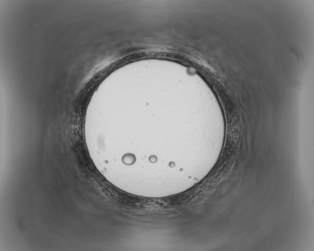 X0000113031255200909241406