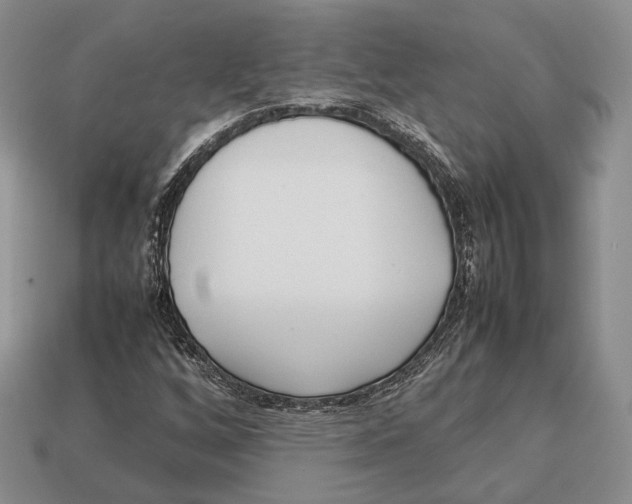 X0000113031256200909241406