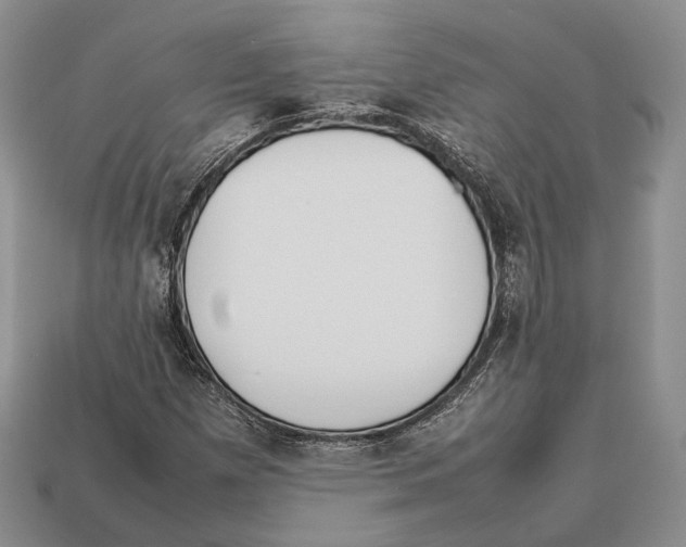 X0000113031257200909241406