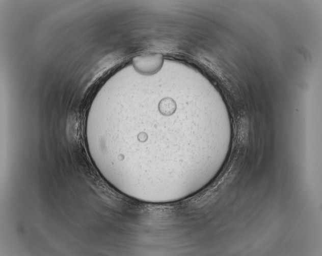 X0000113031258200909241406