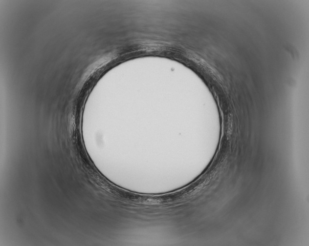 X0000113031261200909241406