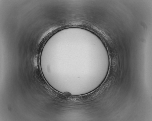 X0000113031262200909241406