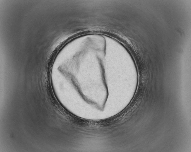 X0000113031263200909241406