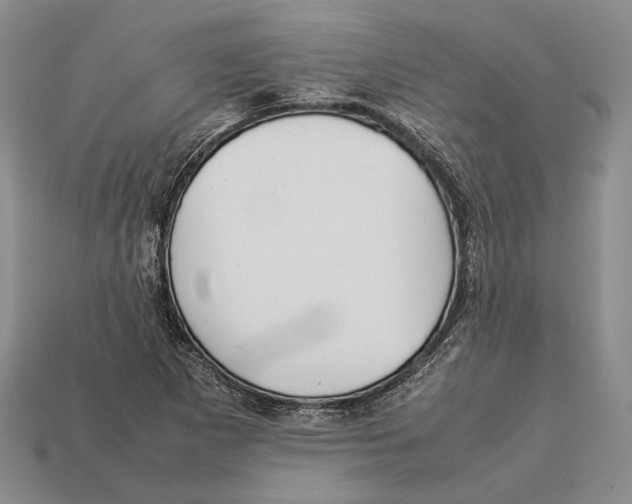 X0000113031265200909241406