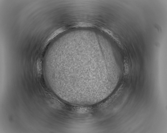 X0000113031266200909241406