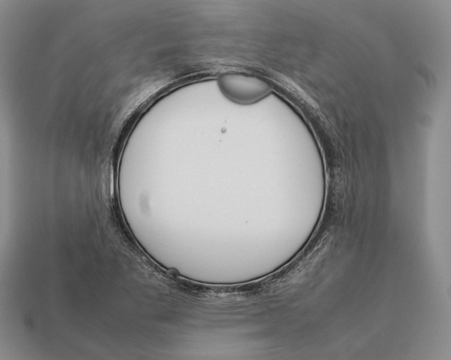 X0000113031269200909241406