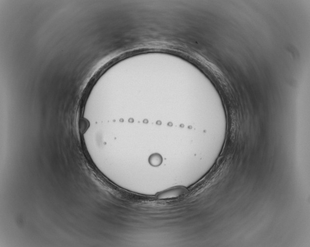 X0000113031272200909241406