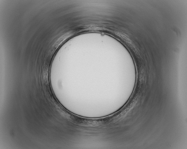 X0000113031273200909241406