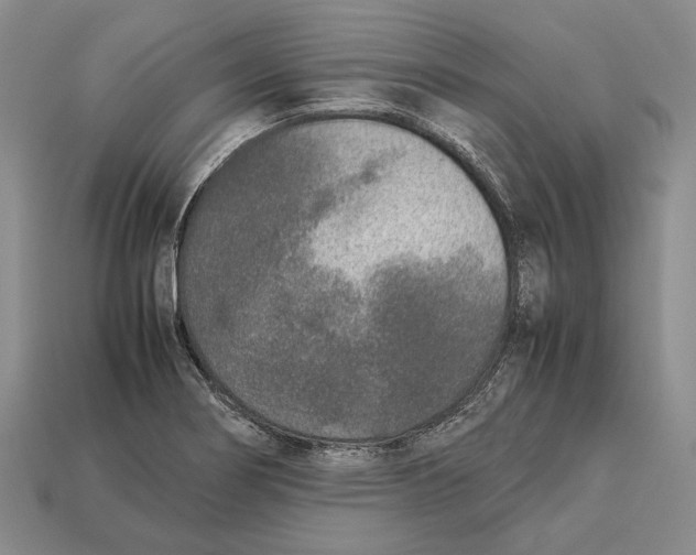 X0000113031274200909241406