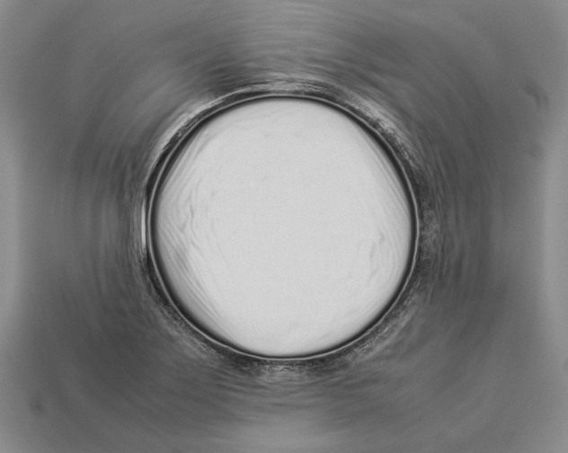 X0000113031275200909241406