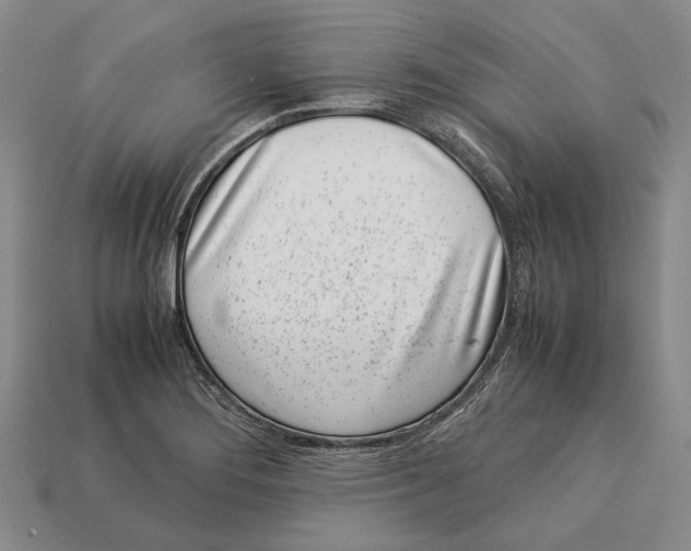 X0000113031276200909241406