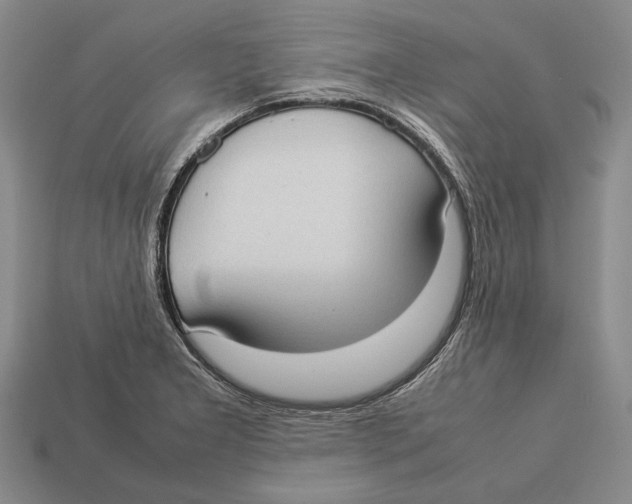 X0000113031277200909241406