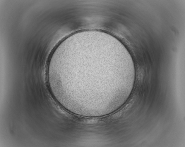 X0000113031278200909241406